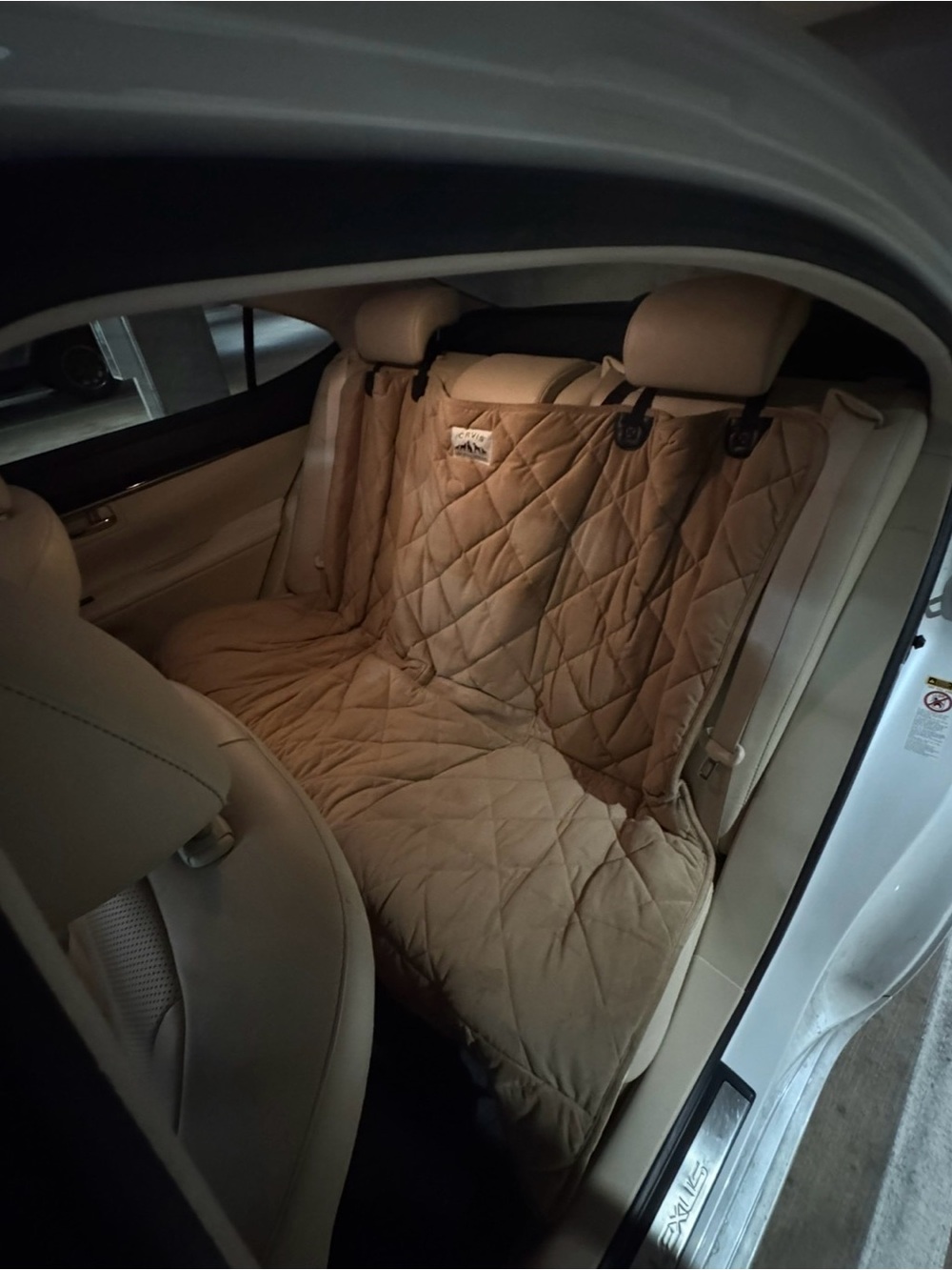 Orvis Quilted Rear Seat Pet Cover